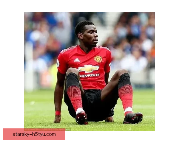 跟队评曼联签卡塞米罗高价及格